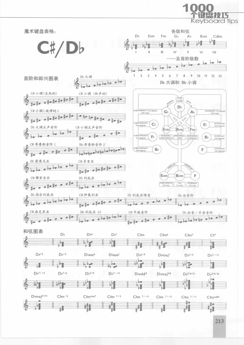 风华艺校+编译《1000个键盘技巧》2008版_一万首著名钢琴曲谱哈农贝多芬合集视频教学电子版高清无水印可打印_09钢琴教材合集_常用教材钢琴谱（80+本）