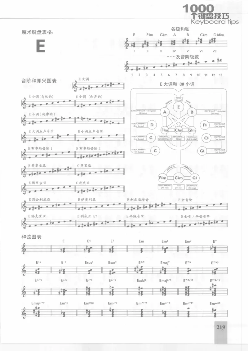 风华艺校+编译《1000个键盘技巧》2008版_一万首著名钢琴曲谱哈农贝多芬合集视频教学电子版高清无水印可打印_09钢琴教材合集_常用教材钢琴谱（80+本）