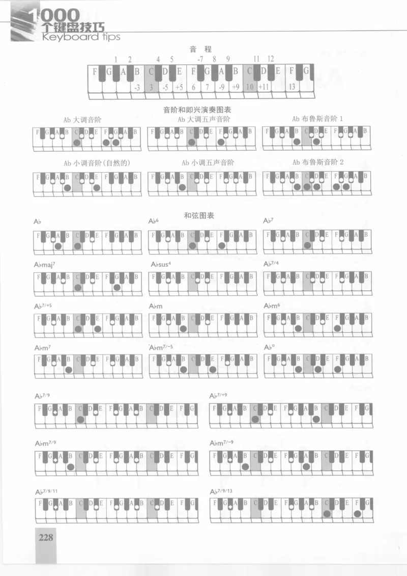 风华艺校+编译《1000个键盘技巧》2008版_一万首著名钢琴曲谱哈农贝多芬合集视频教学电子版高清无水印可打印_09钢琴教材合集_常用教材钢琴谱（80+本）