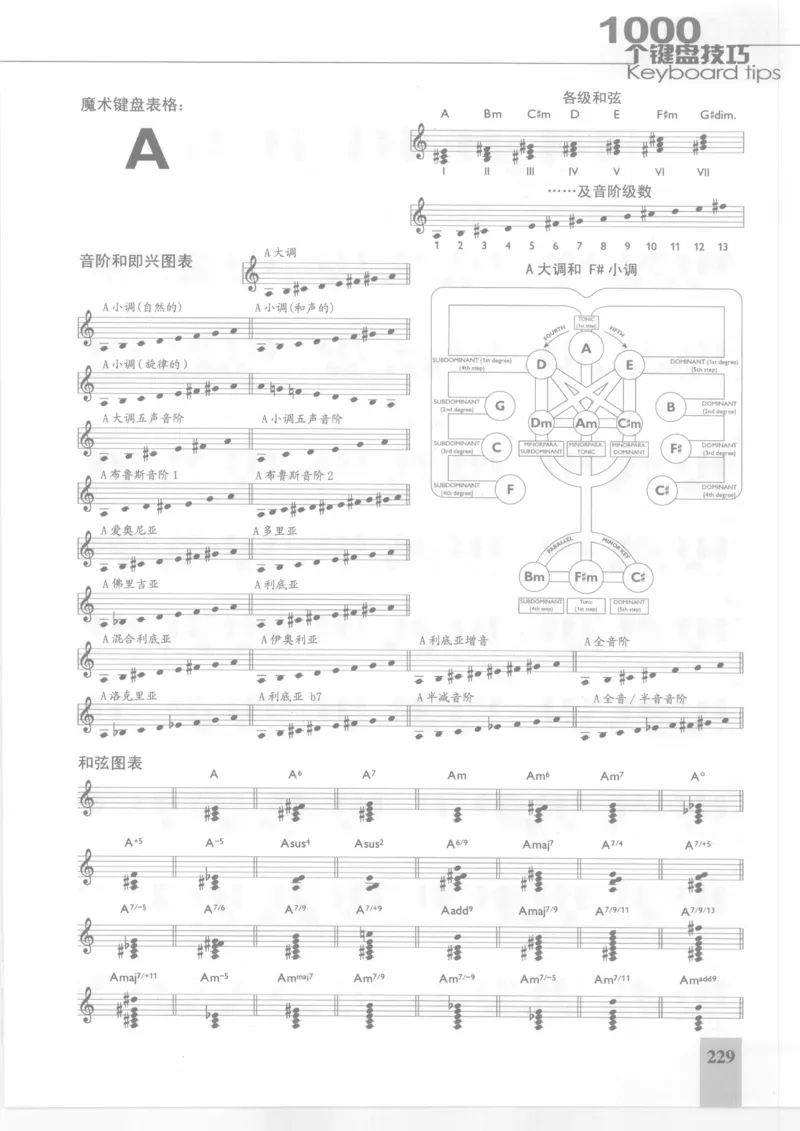 风华艺校+编译《1000个键盘技巧》2008版_一万首著名钢琴曲谱哈农贝多芬合集视频教学电子版高清无水印可打印_09钢琴教材合集_常用教材钢琴谱（80+本）