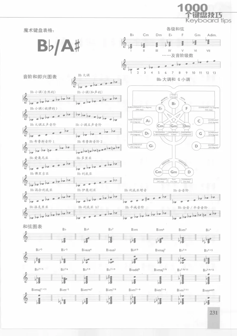 风华艺校+编译《1000个键盘技巧》2008版_一万首著名钢琴曲谱哈农贝多芬合集视频教学电子版高清无水印可打印_09钢琴教材合集_常用教材钢琴谱（80+本）