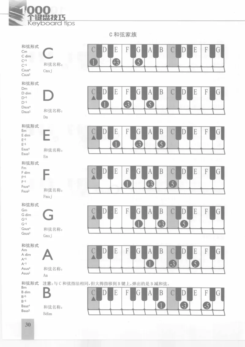风华艺校+编译《1000个键盘技巧》2008版_一万首著名钢琴曲谱哈农贝多芬合集视频教学电子版高清无水印可打印_09钢琴教材合集_常用教材钢琴谱（80+本）