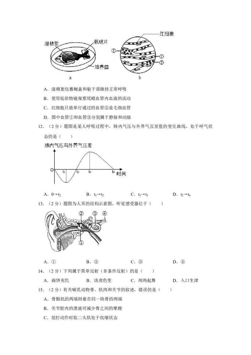 2019年广东省中考生物真题（空白卷）_❤广东中考真题备考2026_8.广东中考生物2008-2025