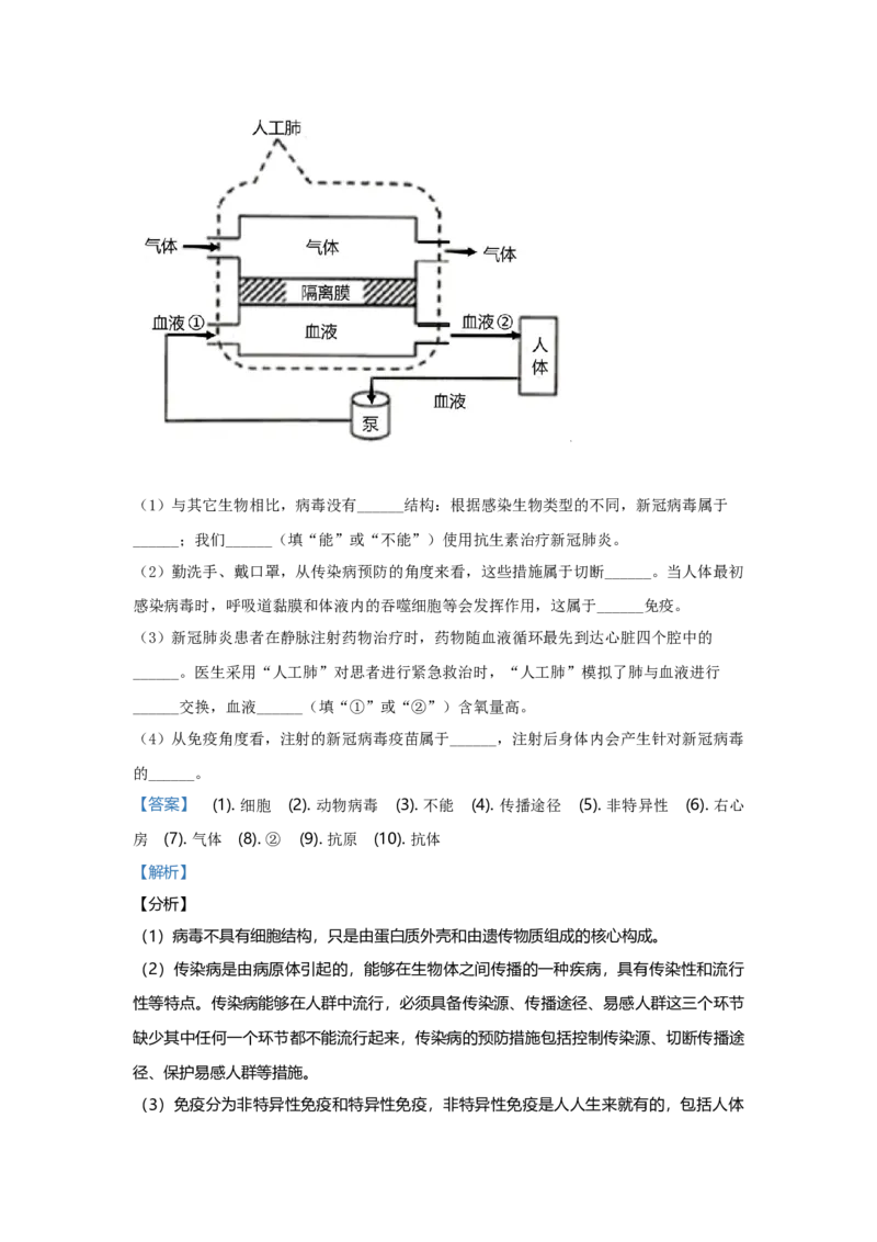 2020年广东省中考生物真题（解析卷）_❤广东中考真题备考2026_8.广东中考生物2008-2025