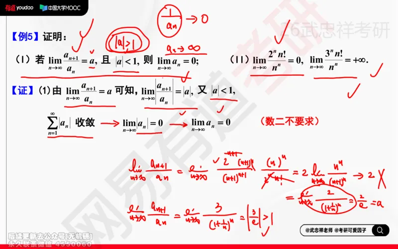(204)--高数强化02笔记小节_已解密_01.2026考研数学有道武忠祥刘金峰全程班_01.2026考研数学武忠祥刘金峰全程班_00.书籍和讲义_{2}--资料