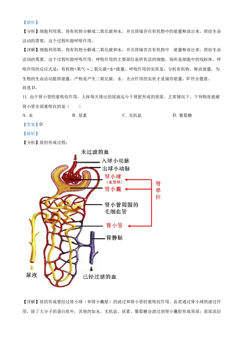 2022年广东省中考生物真题（解析卷）_❤广东中考真题备考2026_8.广东中考生物2008-2025
