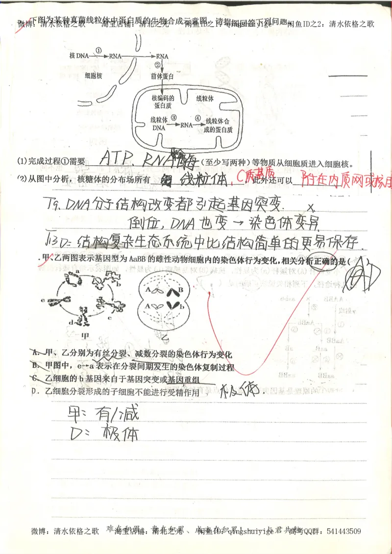 衡水中学高一生物错题与改错_高中衡水学霸笔记_高中全部赠品_错题集高中九科_生物积累与改错