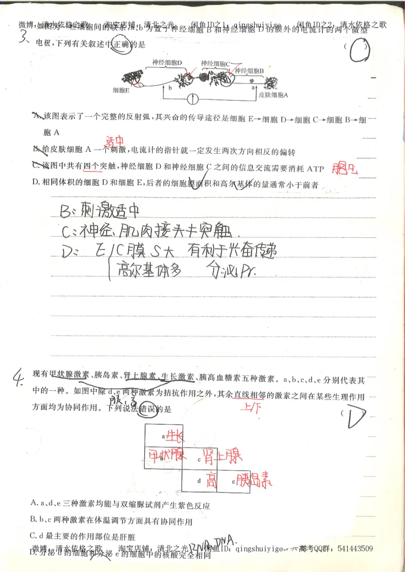 衡水中学高一生物错题与改错_高中衡水学霸笔记_高中全部赠品_错题集高中九科_生物积累与改错