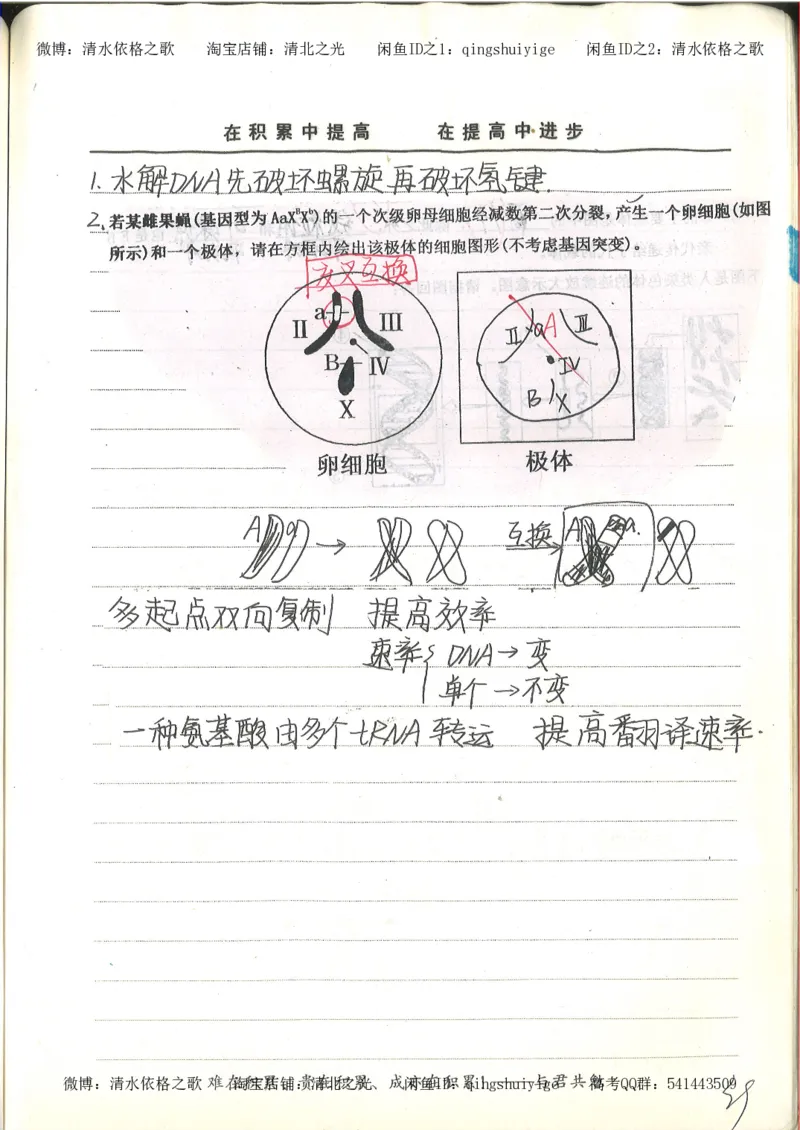 衡水中学高一生物错题与改错_高中衡水学霸笔记_高中全部赠品_错题集高中九科_生物积累与改错