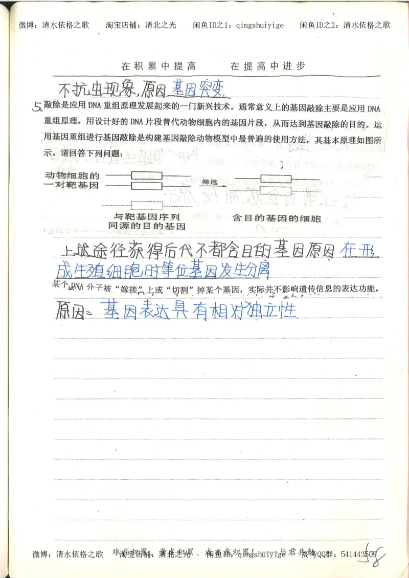 衡水中学高一生物错题与改错_高中衡水学霸笔记_高中全部赠品_错题集高中九科_生物积累与改错
