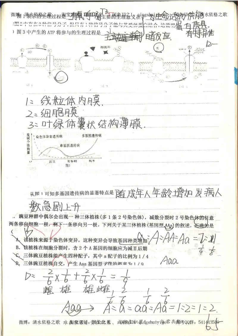 衡水中学高一生物错题与改错_高中衡水学霸笔记_高中全部赠品_错题集高中九科_生物积累与改错