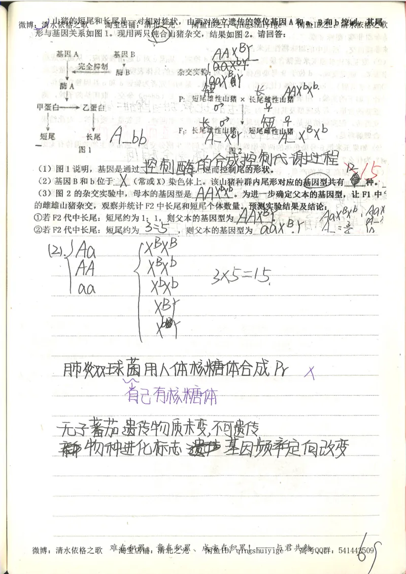 衡水中学高一生物错题与改错_高中衡水学霸笔记_高中全部赠品_错题集高中九科_生物积累与改错