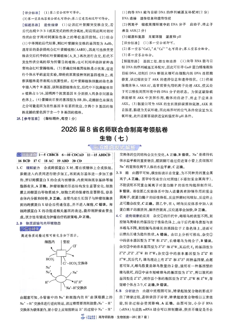 2026金考卷百校联盟高考领航卷生物答案六（新教材不定项选择题版）_2026版金考卷&middot;百校联盟高考领航卷（全科）_2026版金考卷&middot;百校联盟高考领航卷生物（单选+不定项）