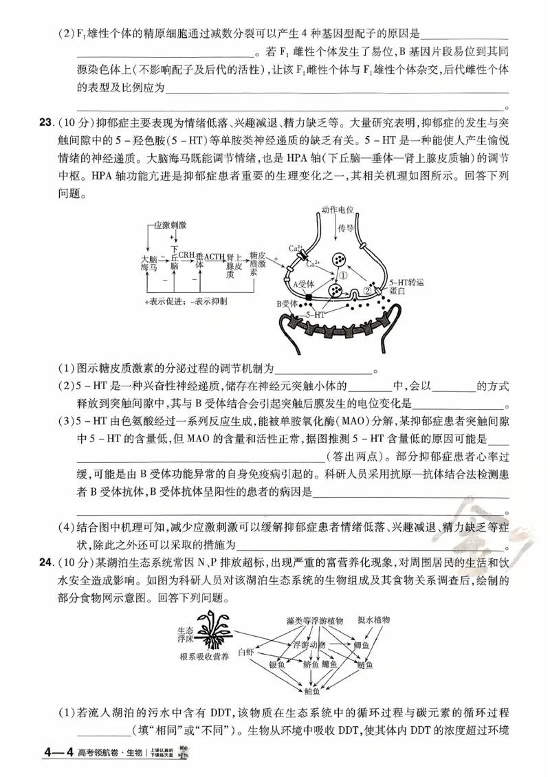 2026金考卷百校联盟高考领航卷生物试卷四（新教材不定项选择题版）_2026版金考卷&middot;百校联盟高考领航卷（全科）_2026版金考卷&middot;百校联盟高考领航卷生物（单选+不定项）