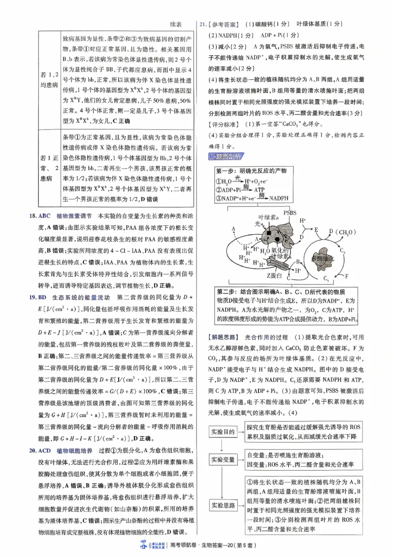 2026金考卷百校联盟高考领航卷生物答案五（新教材不定项选择题版）_2026版金考卷&middot;百校联盟高考领航卷（全科）_2026版金考卷&middot;百校联盟高考领航卷生物（单选+不定项）