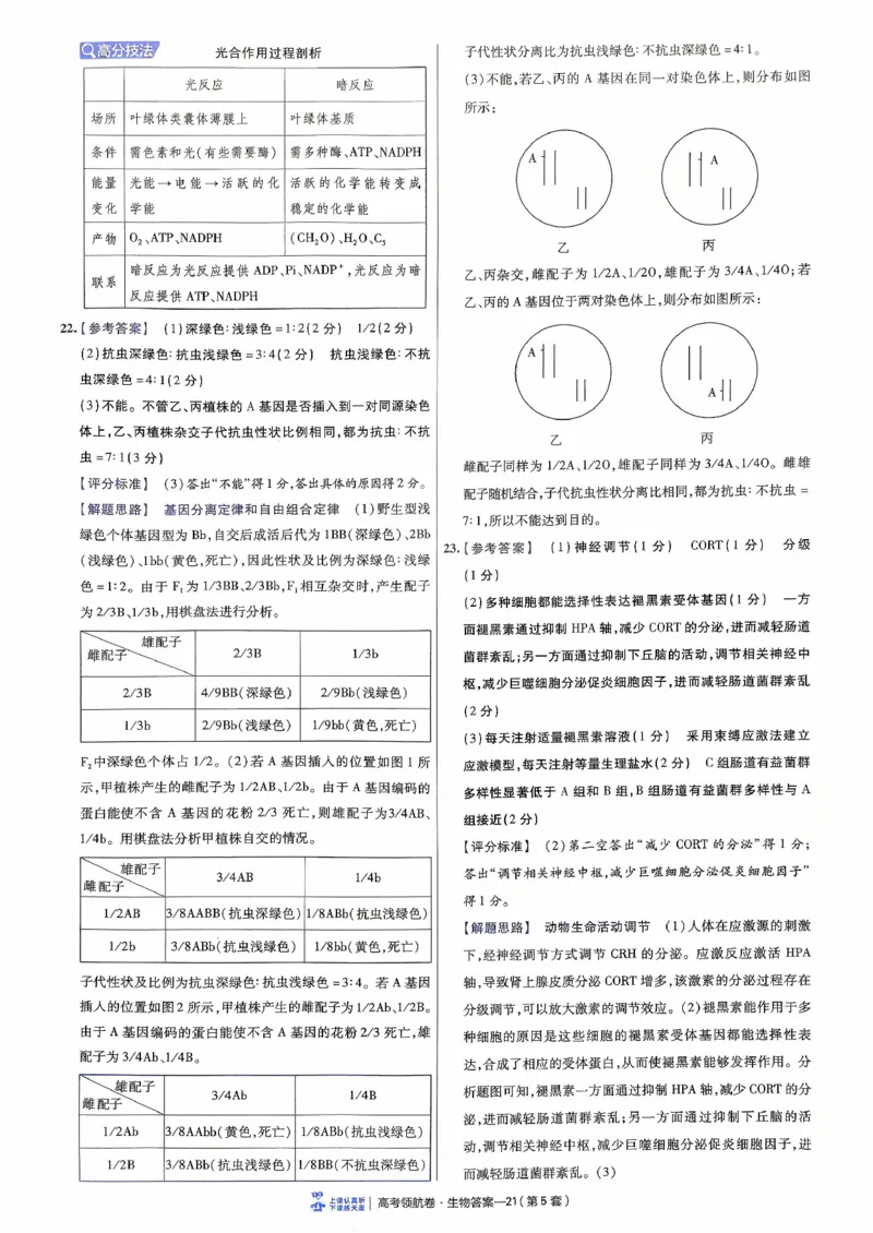 2026金考卷百校联盟高考领航卷生物答案五（新教材不定项选择题版）_2026版金考卷&middot;百校联盟高考领航卷（全科）_2026版金考卷&middot;百校联盟高考领航卷生物（单选+不定项）
