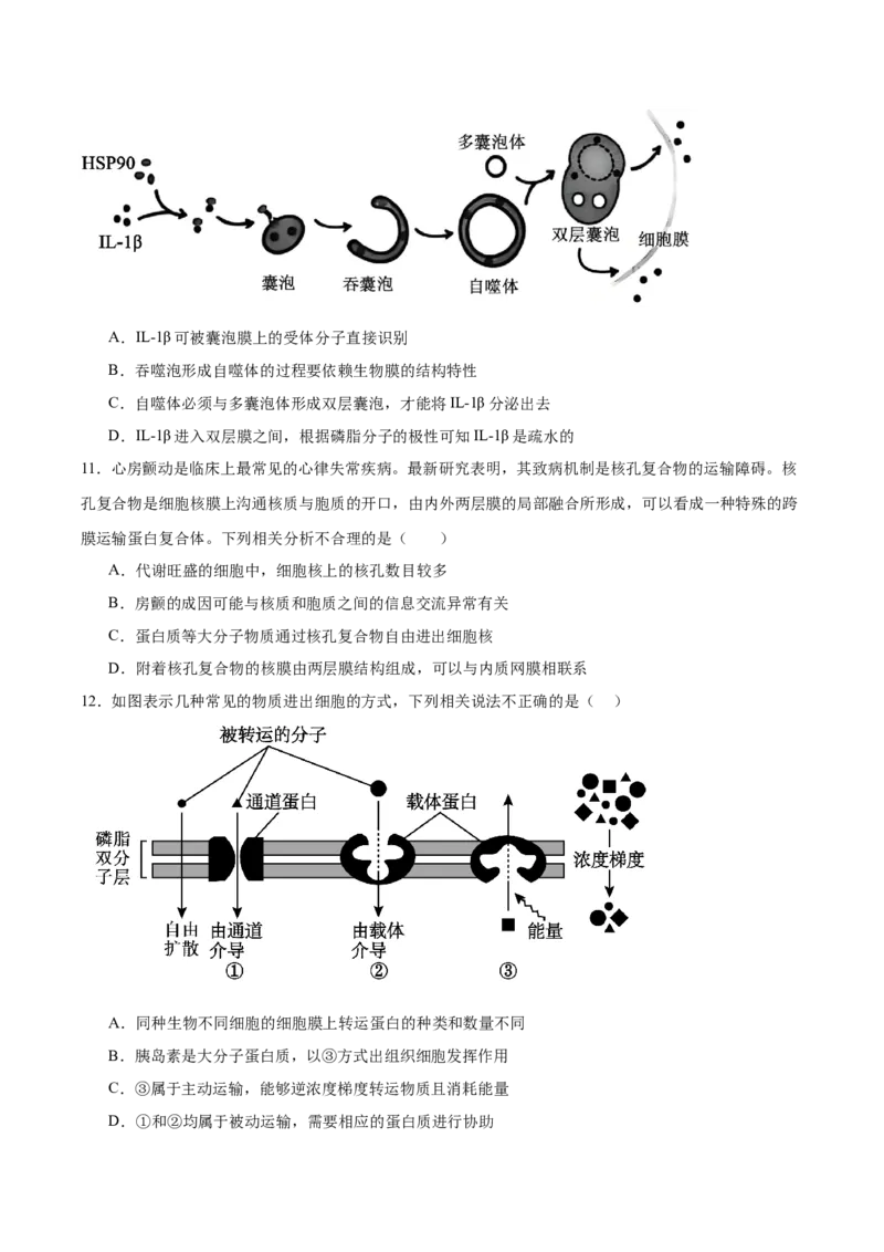 山东省青岛第五十八中学2025-2026学年高一上学期期中测试生物Word版含答案_2024-2025高一（7-7月题库）_2026年1月高一_260110山东省青岛第五十八中学2025-2026学年高一上学期期中测试（全）