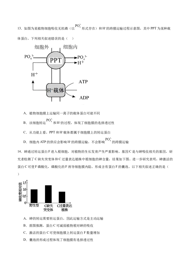 山东省青岛第五十八中学2025-2026学年高一上学期期中测试生物Word版含答案_2024-2025高一（7-7月题库）_2026年1月高一_260110山东省青岛第五十八中学2025-2026学年高一上学期期中测试（全）