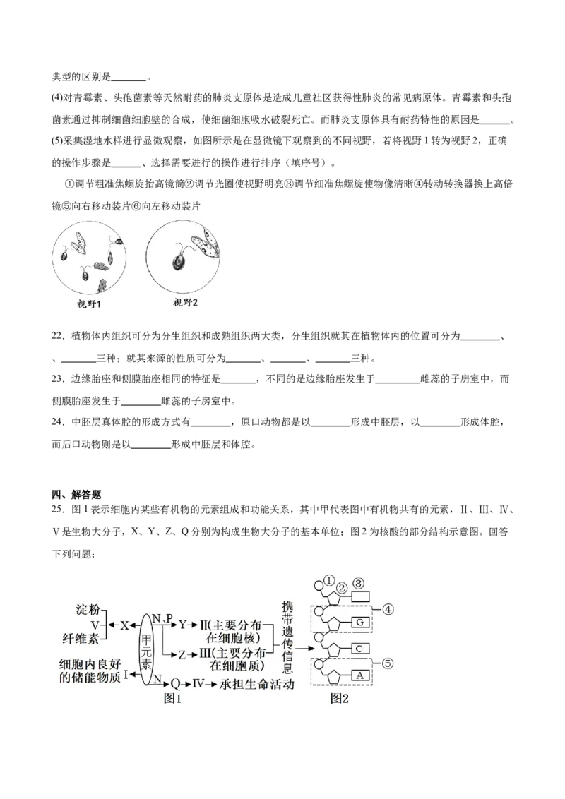 山东省青岛第五十八中学2025-2026学年高一上学期期中测试生物Word版含答案_2024-2025高一（7-7月题库）_2026年1月高一_260110山东省青岛第五十八中学2025-2026学年高一上学期期中测试（全）