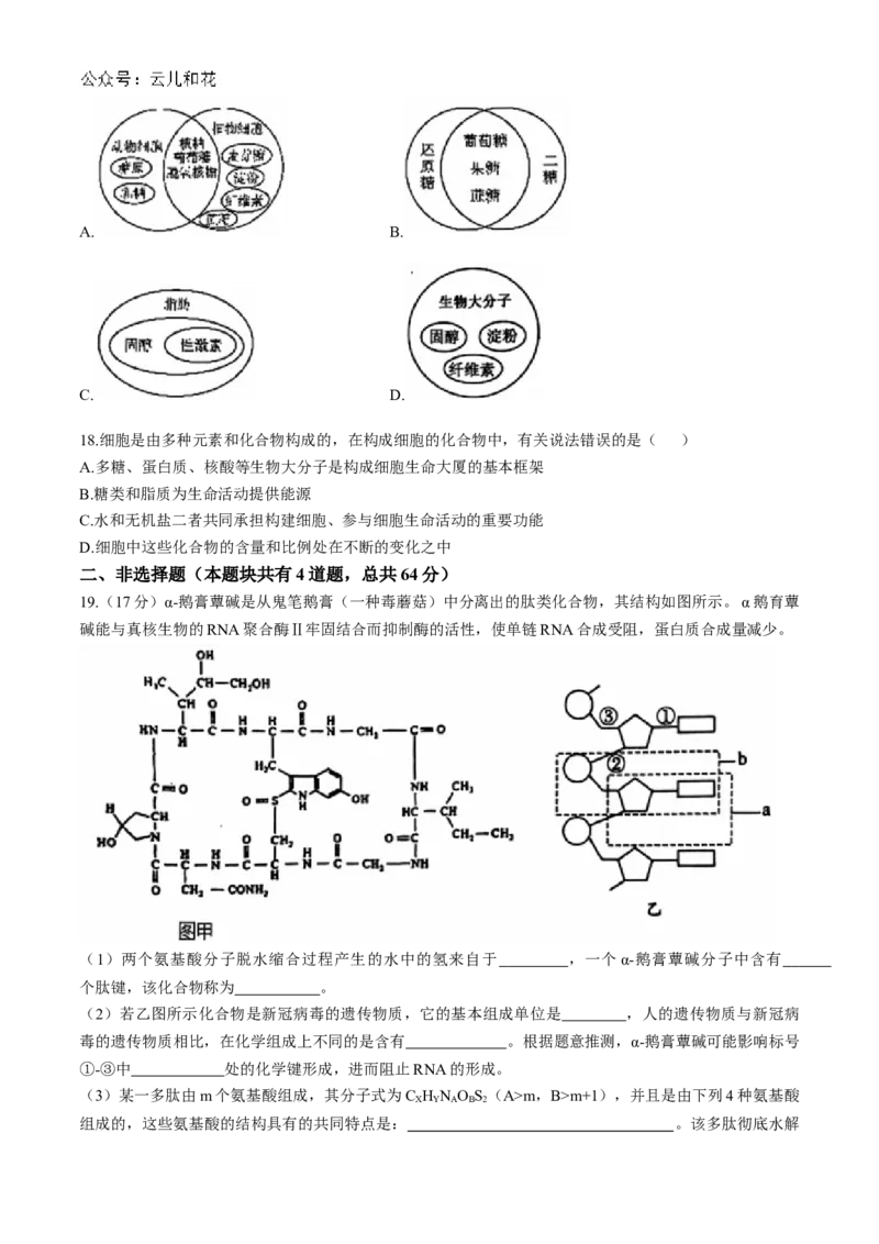 湖北省十堰市六县市区一中教联体2024-2025学年高一上学期11月联考试题生物Word版含答案_2024-2025高一（7-7月题库）_2024年11月试卷