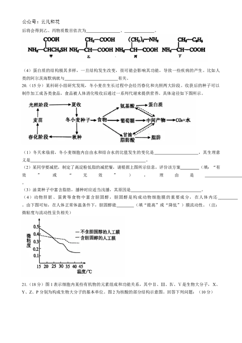 湖北省十堰市六县市区一中教联体2024-2025学年高一上学期11月联考试题生物Word版含答案_2024-2025高一（7-7月题库）_2024年11月试卷