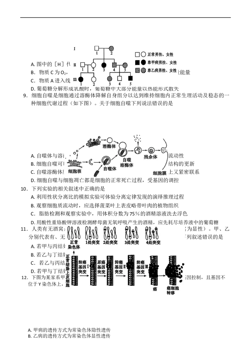 内蒙古赤峰市2024-2025下学年高一下学期期末生物试卷（有答案）_2024-2025高一（7-7月题库）_2025年7月_250720内蒙古赤峰市2024-2025学年高一下学期期末联考（全）