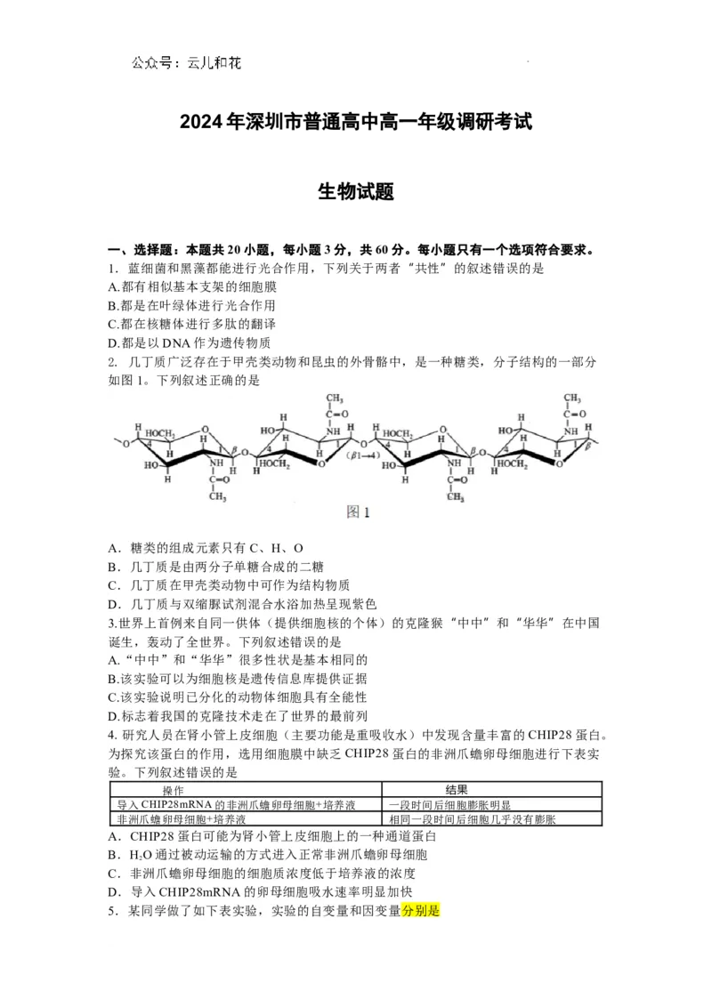 广东省深圳市2023-2024学年高一下学期调研测试生物试题_2024-2025高一（7-7月题库）_2024年7月试卷_0710广东省深圳市2023-2024学年高一下学期期末调研考试