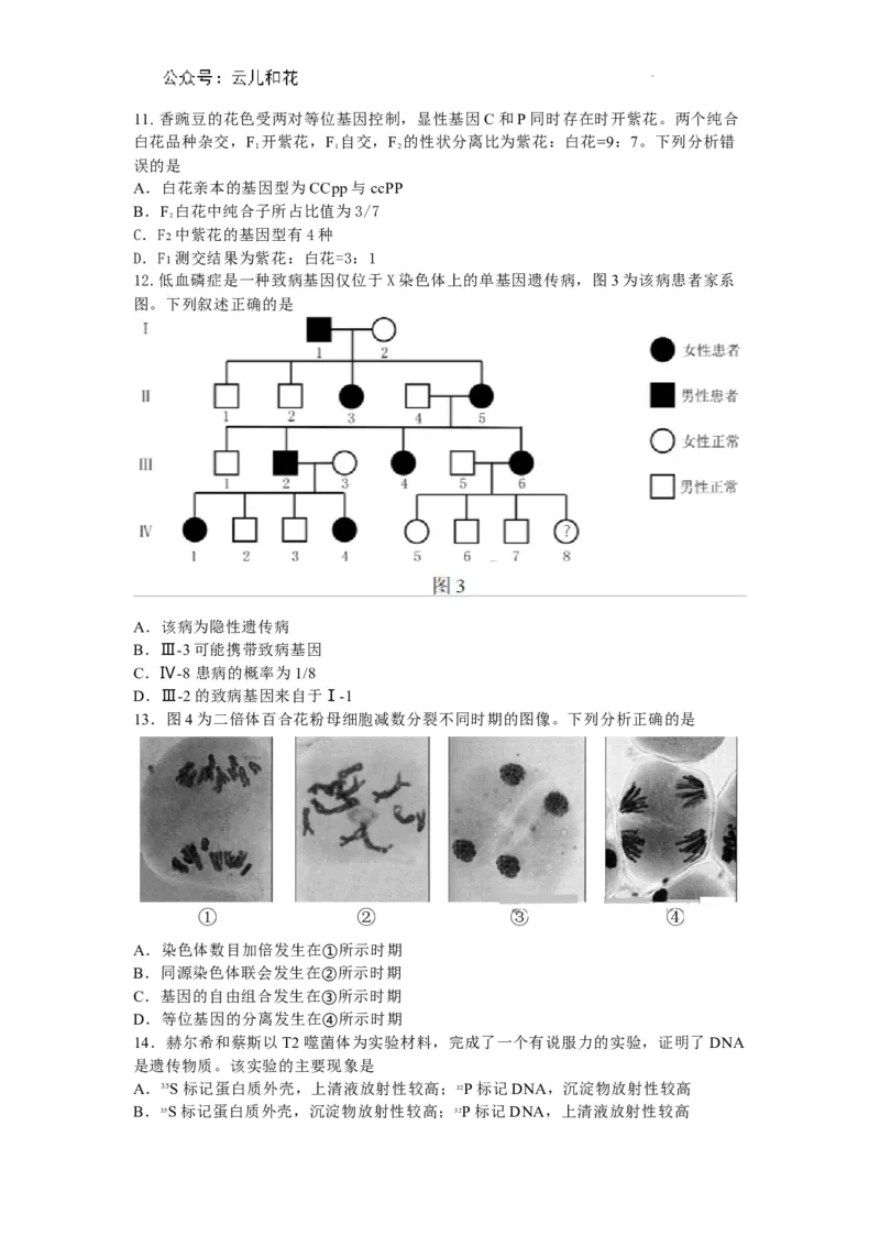 广东省深圳市2023-2024学年高一下学期调研测试生物试题_2024-2025高一（7-7月题库）_2024年7月试卷_0710广东省深圳市2023-2024学年高一下学期期末调研考试