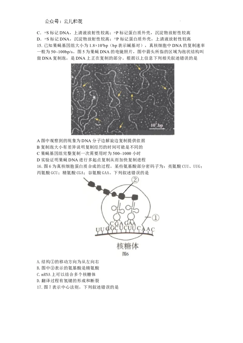 广东省深圳市2023-2024学年高一下学期调研测试生物试题_2024-2025高一（7-7月题库）_2024年7月试卷_0710广东省深圳市2023-2024学年高一下学期期末调研考试