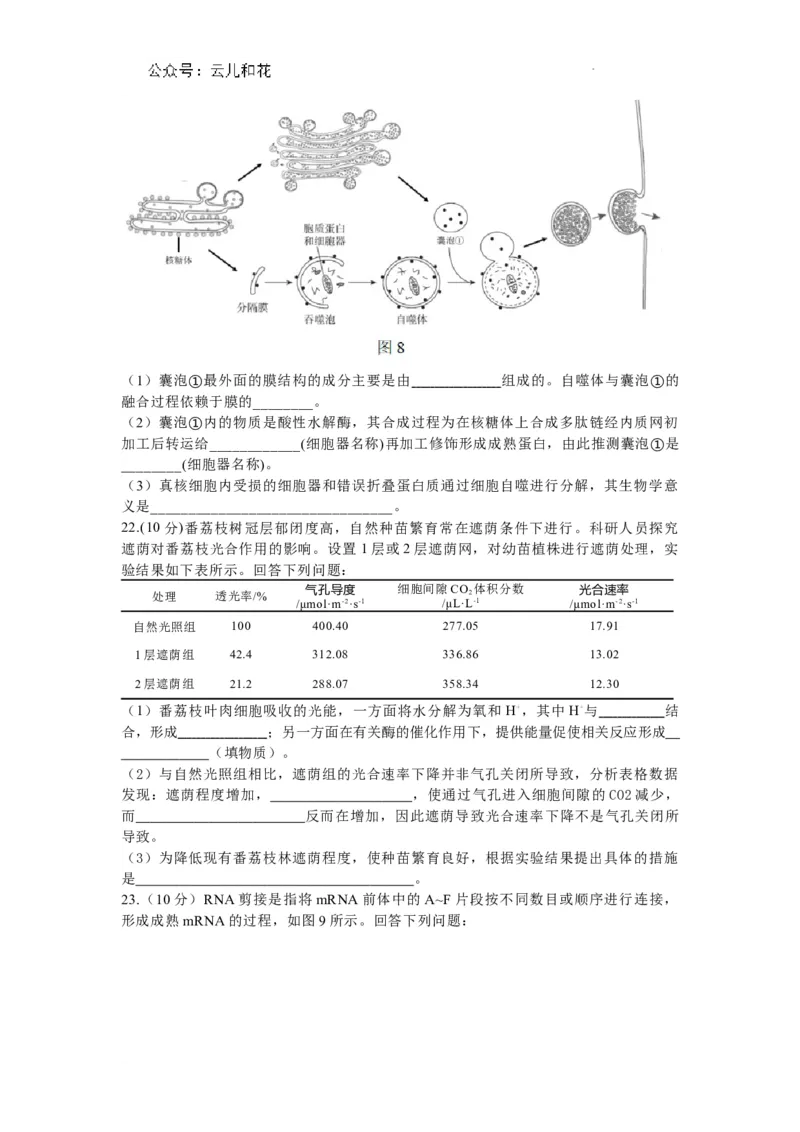 广东省深圳市2023-2024学年高一下学期调研测试生物试题_2024-2025高一（7-7月题库）_2024年7月试卷_0710广东省深圳市2023-2024学年高一下学期期末调研考试