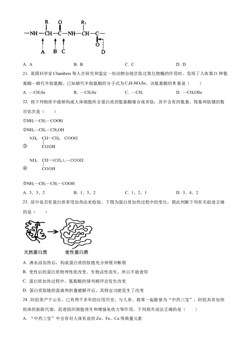 湖南省长沙市明德中学2024-2025学年高一上学期第一次阶段检测生物试题Word版无答案_2024-2025高一（7-7月题库）_2024年10月试卷