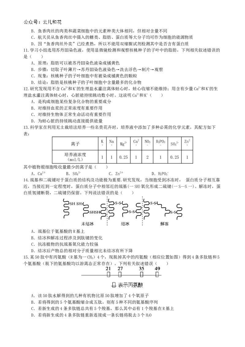 甘肃省兰州第一中学2024-2025学年高一上学期10月月考试题生物Word版含答案_2024-2025高一（7-7月题库）_2024年10月试卷_1030甘肃省兰州第一中学2024-2025学年高一上学期10月月考