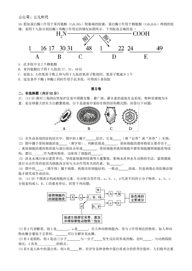 甘肃省兰州第一中学2024-2025学年高一上学期10月月考试题生物Word版含答案_2024-2025高一（7-7月题库）_2024年10月试卷_1030甘肃省兰州第一中学2024-2025学年高一上学期10月月考