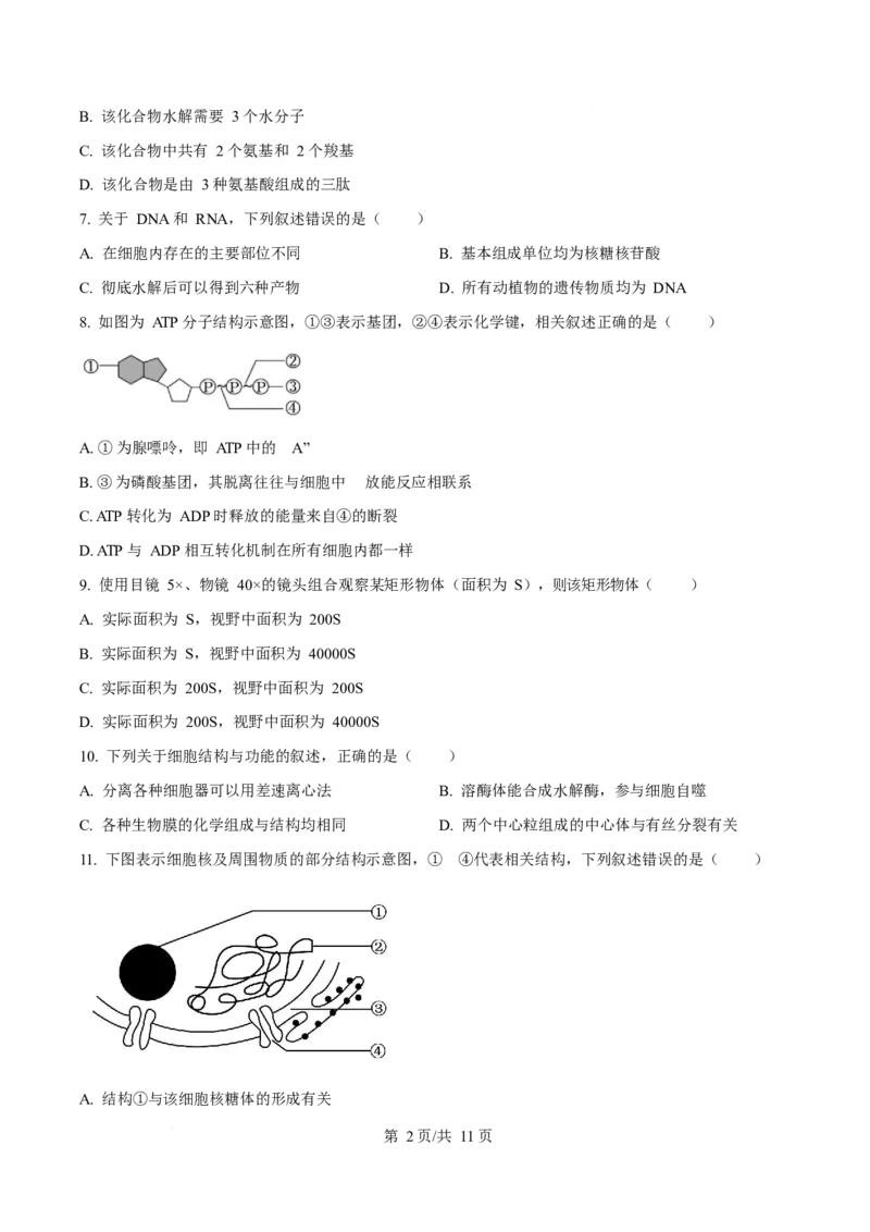 辽宁省葫芦岛市2025-2026学年高一上学期1月期末考试生物试卷（含答案）_2024-2025高一（7-7月题库）_2026年1月高一_260125辽宁省葫芦岛市2025-2026学年高一上学期1月期末（全）
