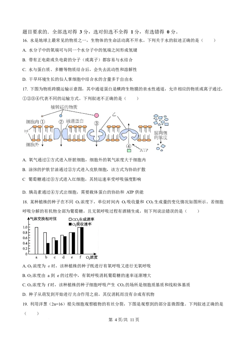 辽宁省葫芦岛市2025-2026学年高一上学期1月期末考试生物试卷（含答案）_2024-2025高一（7-7月题库）_2026年1月高一_260125辽宁省葫芦岛市2025-2026学年高一上学期1月期末（全）