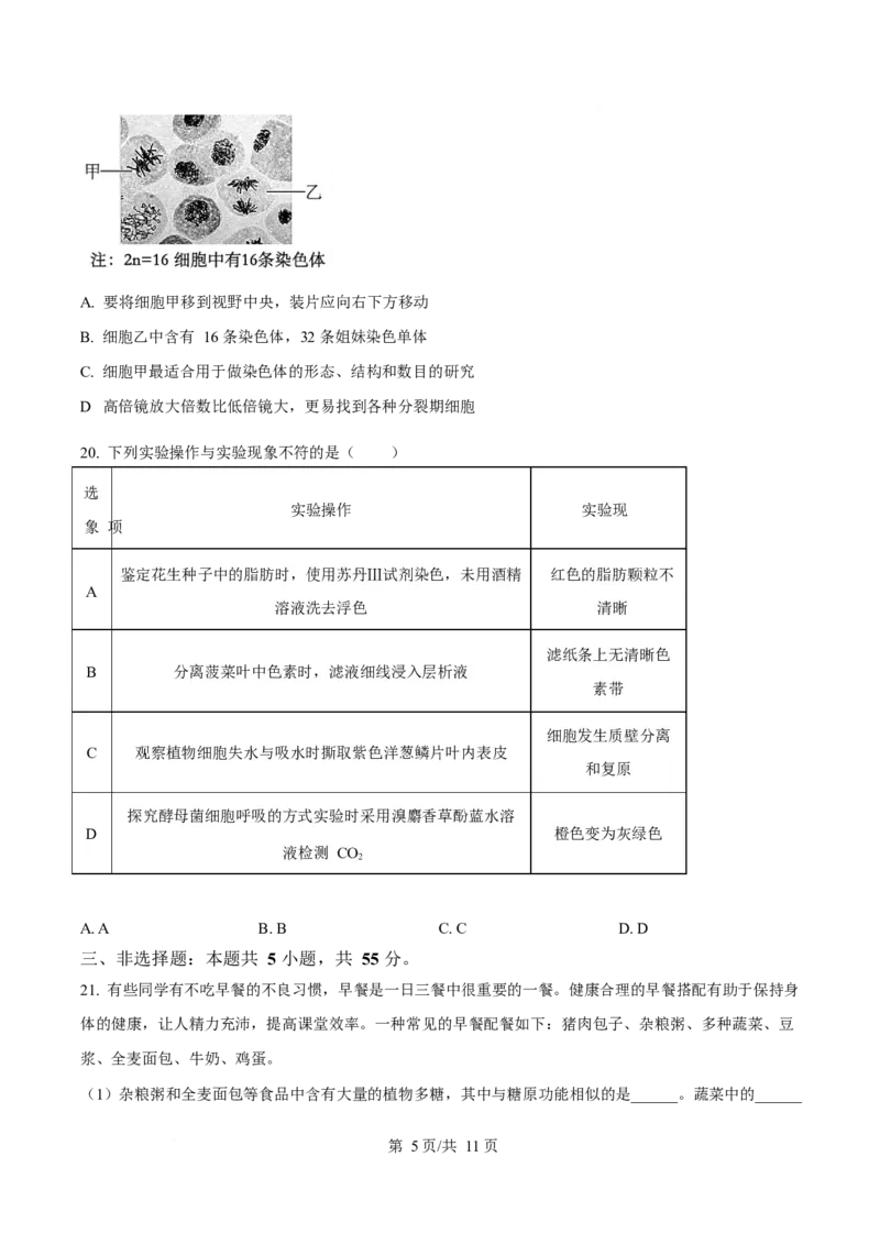 辽宁省葫芦岛市2025-2026学年高一上学期1月期末考试生物试卷（含答案）_2024-2025高一（7-7月题库）_2026年1月高一_260125辽宁省葫芦岛市2025-2026学年高一上学期1月期末（全）