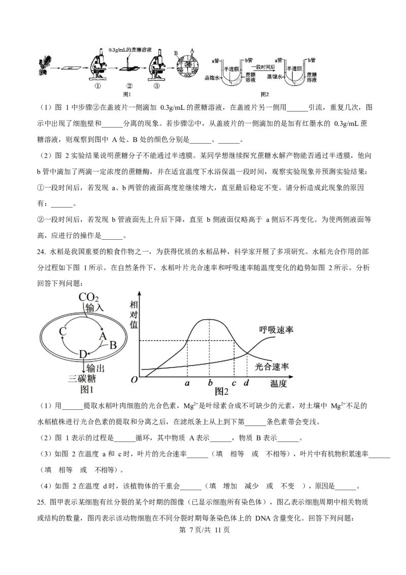 辽宁省葫芦岛市2025-2026学年高一上学期1月期末考试生物试卷（含答案）_2024-2025高一（7-7月题库）_2026年1月高一_260125辽宁省葫芦岛市2025-2026学年高一上学期1月期末（全）