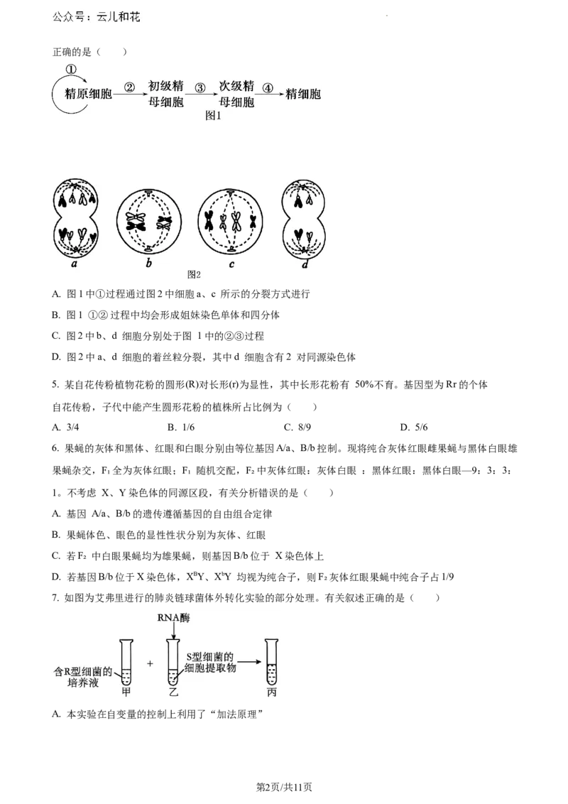 河北省沧州市2023-2024学年高一下学期7月期末教学质量监测生物试题_2024-2025高一（7-7月题库）_2024年7月试卷_0710河北省沧州市2023-2024学年高一下学期期末教学质量监测