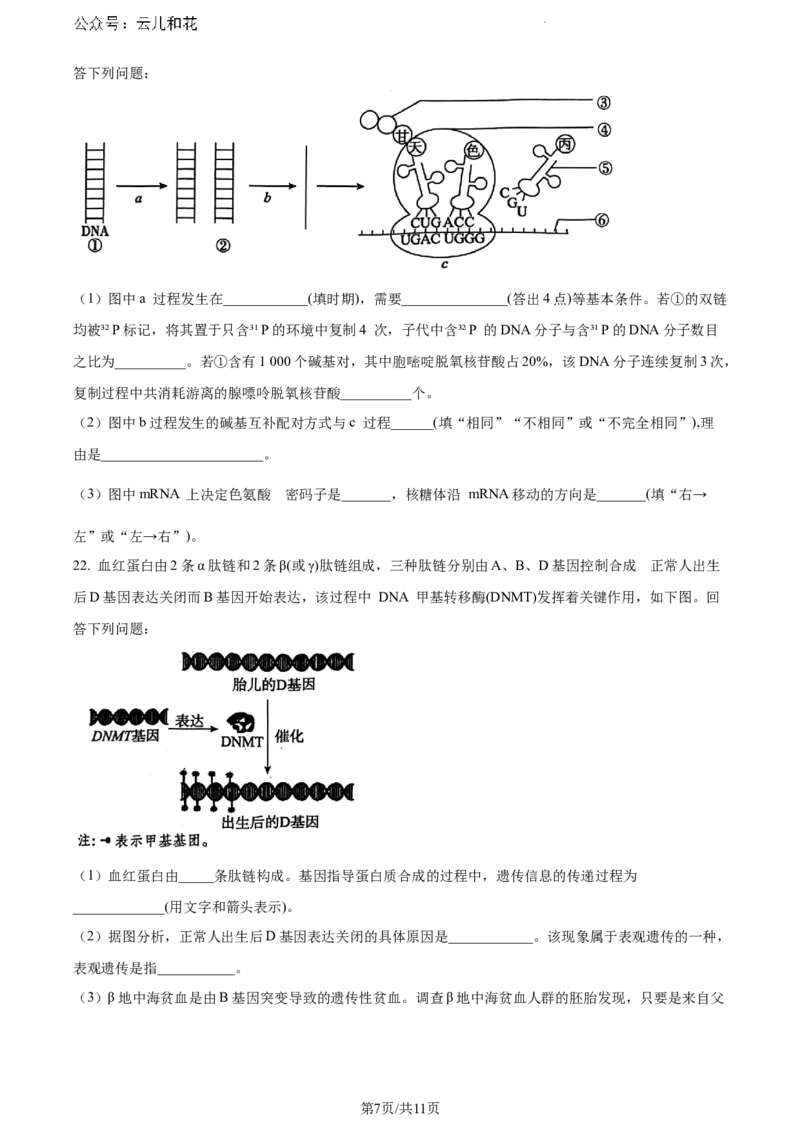 河北省沧州市2023-2024学年高一下学期7月期末教学质量监测生物试题_2024-2025高一（7-7月题库）_2024年7月试卷_0710河北省沧州市2023-2024学年高一下学期期末教学质量监测