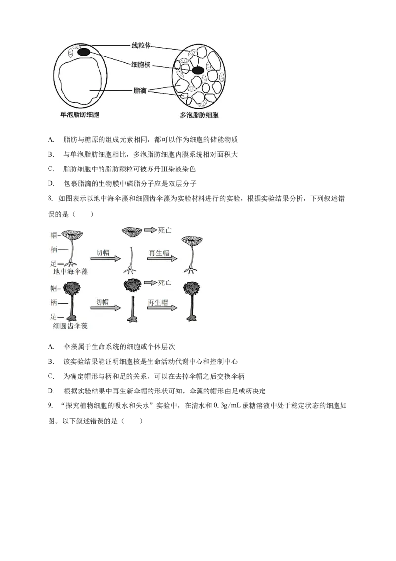 安徽省滁州市定远县育才学校2025-2026学年高一上学期12月月考生物试题（含答案）_2024-2025高一（7-7月题库）_2026年1月高一