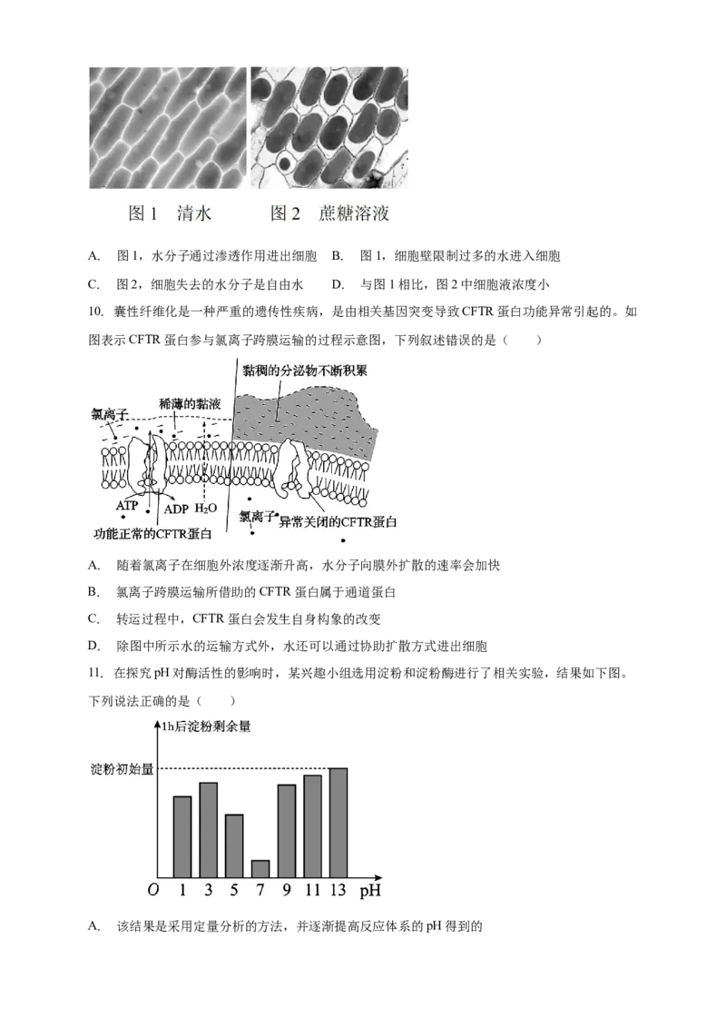 安徽省滁州市定远县育才学校2025-2026学年高一上学期12月月考生物试题（含答案）_2024-2025高一（7-7月题库）_2026年1月高一