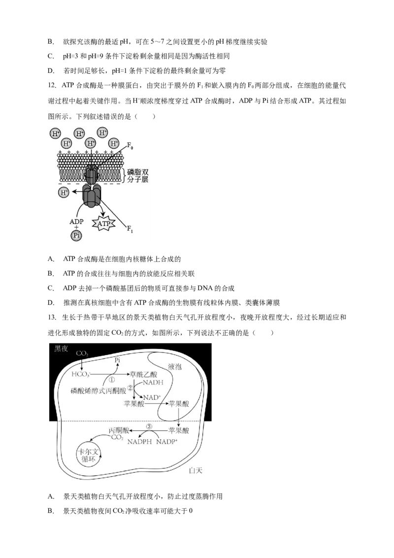 安徽省滁州市定远县育才学校2025-2026学年高一上学期12月月考生物试题（含答案）_2024-2025高一（7-7月题库）_2026年1月高一