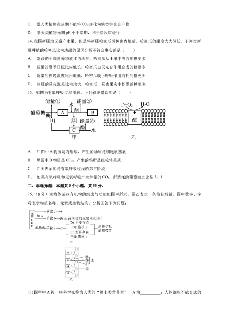 安徽省滁州市定远县育才学校2025-2026学年高一上学期12月月考生物试题（含答案）_2024-2025高一（7-7月题库）_2026年1月高一
