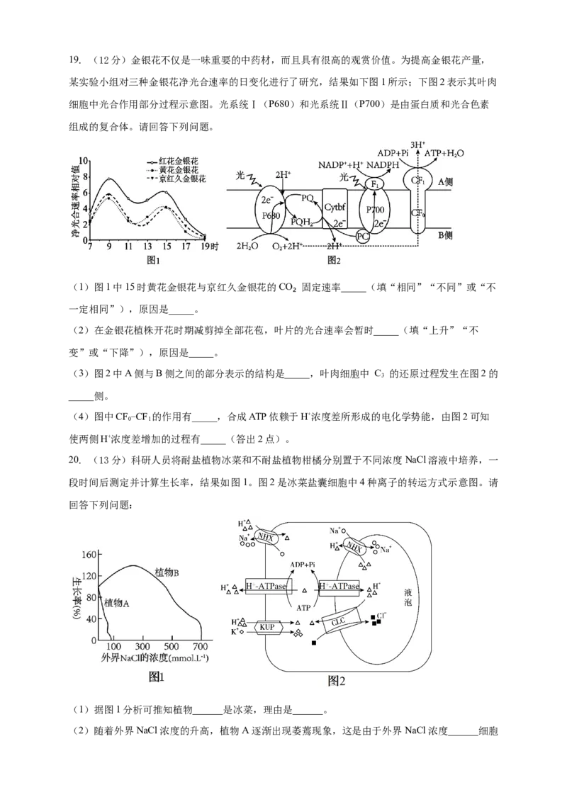 安徽省滁州市定远县育才学校2025-2026学年高一上学期12月月考生物试题（含答案）_2024-2025高一（7-7月题库）_2026年1月高一