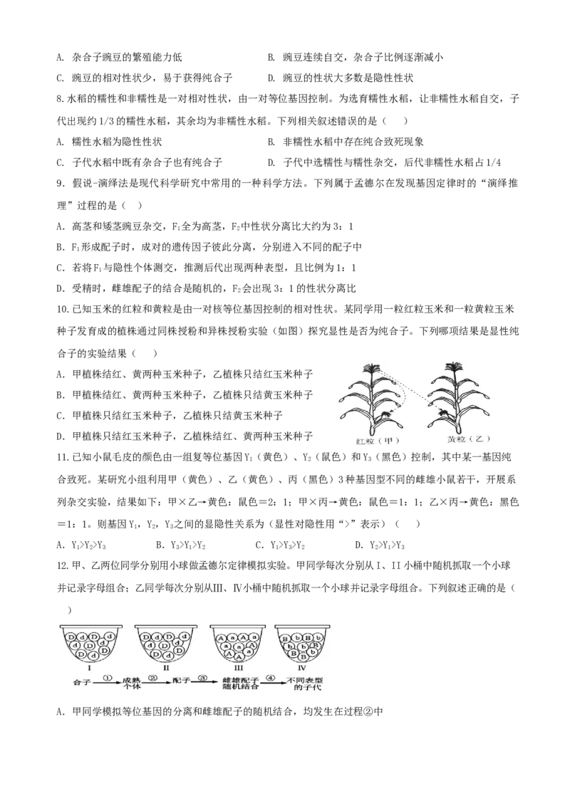 四川省内江市威远中学校2024-2025学年高一下学期期中考试生物试题（含答案）_2024-2025高一（7-7月题库）_2025年04月试卷_0424四川省内江市威远中学2024-2025学年高一下学期期中考试