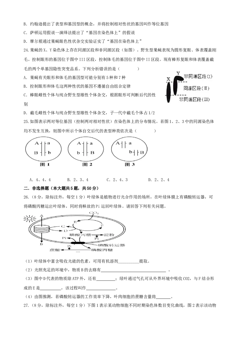 四川省内江市威远中学校2024-2025学年高一下学期期中考试生物试题（含答案）_2024-2025高一（7-7月题库）_2025年04月试卷_0424四川省内江市威远中学2024-2025学年高一下学期期中考试
