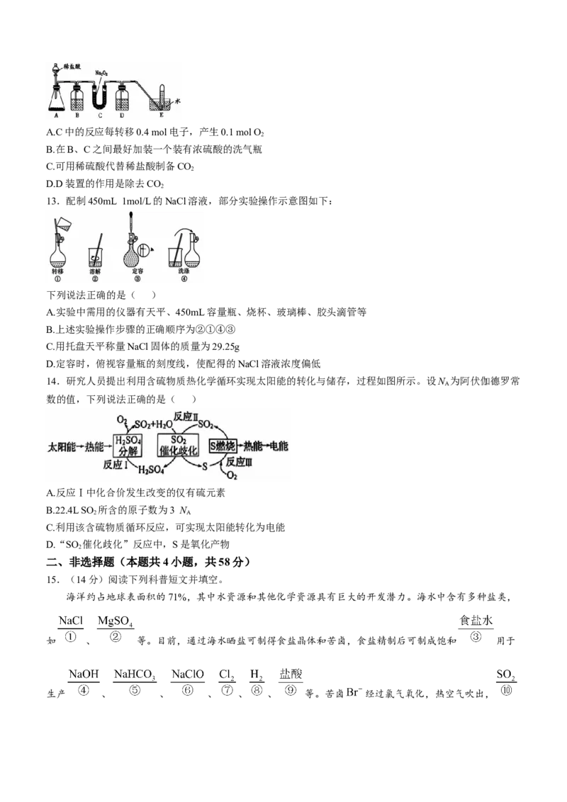 广西壮族自治区玉林市2024-2025学年高一上学期11月期中考试化学Word版无答案_2024-2025高一（7-7月题库）_2024年12月试卷_1214广西壮族自治区玉林市2024-2025学年高一上学期11月期中考试