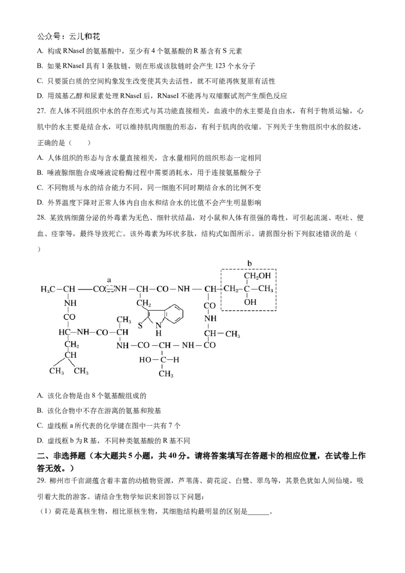 广西柳州高级中学2024-2025学年高一上学期10月月考生物试题_2024-2025高一（7-7月题库）_2024年10月试卷_1030广西柳州高级高中2024-2025学年高一上学期10月月考