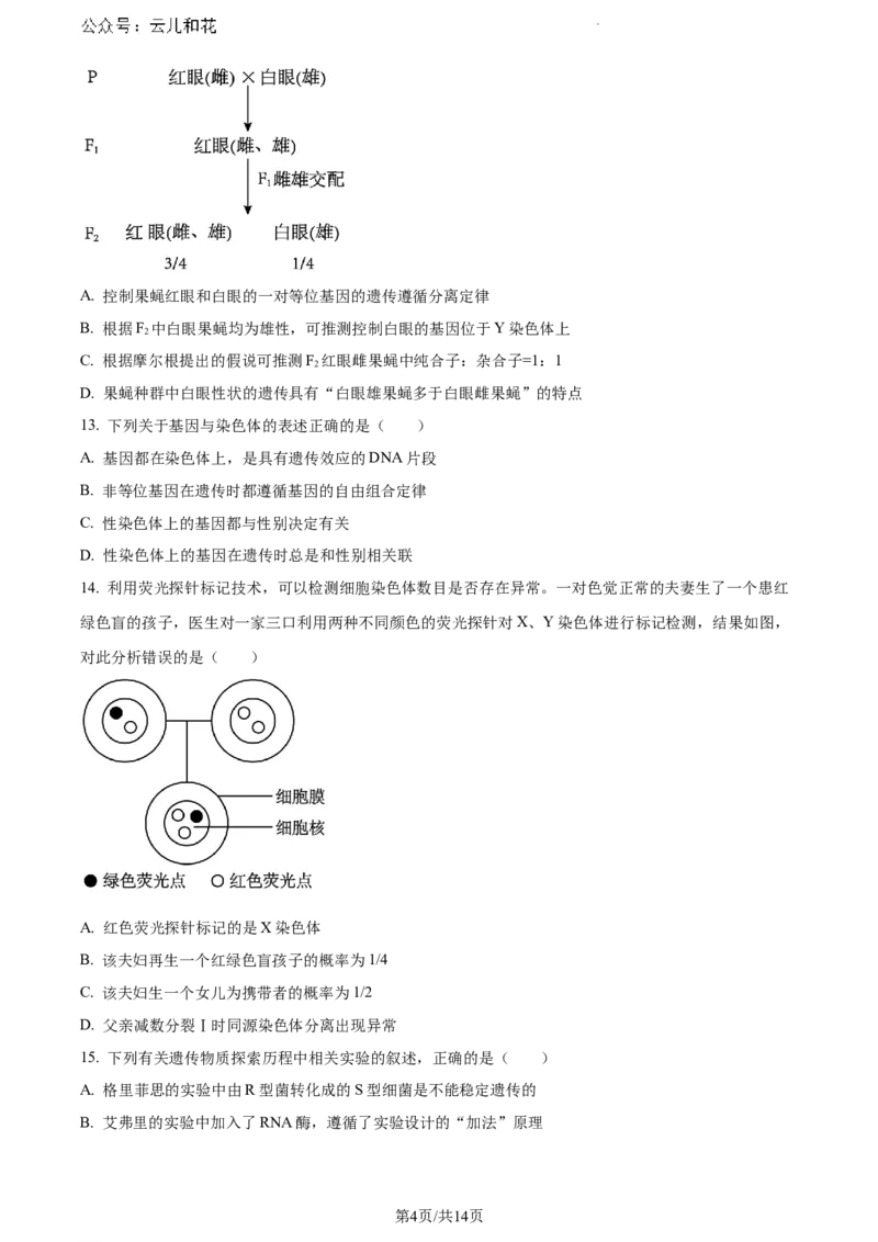 安徽省芜湖市2023-2024学年高一下学期7月期末生物试题_2024-2025高一（7-7月题库）_2024年7月试卷_0710安徽省芜湖市2023-2024学年高一下学期期末考试