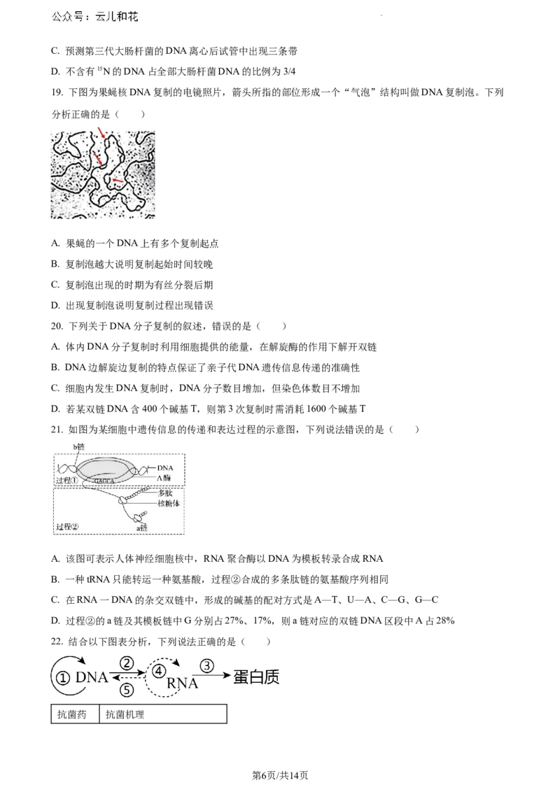 安徽省芜湖市2023-2024学年高一下学期7月期末生物试题_2024-2025高一（7-7月题库）_2024年7月试卷_0710安徽省芜湖市2023-2024学年高一下学期期末考试